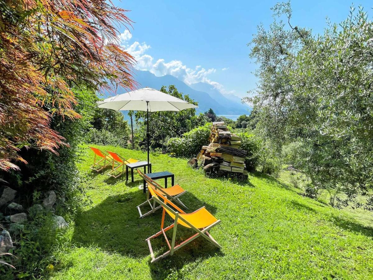 Breva Loft Tra Gli Ulivi Ed Il Lago Bellagio Kültér fotó