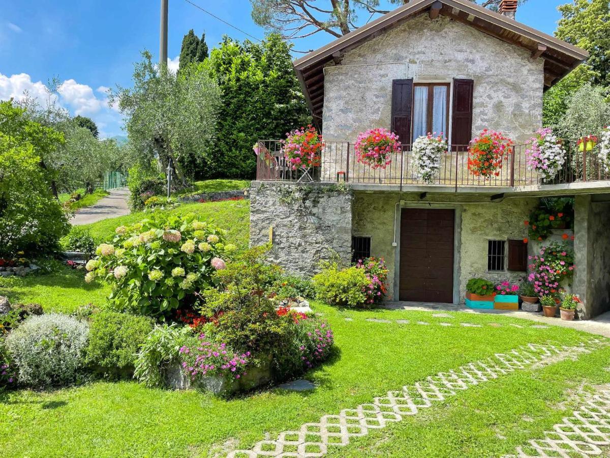 Breva Loft Tra Gli Ulivi Ed Il Lago Bellagio Kültér fotó