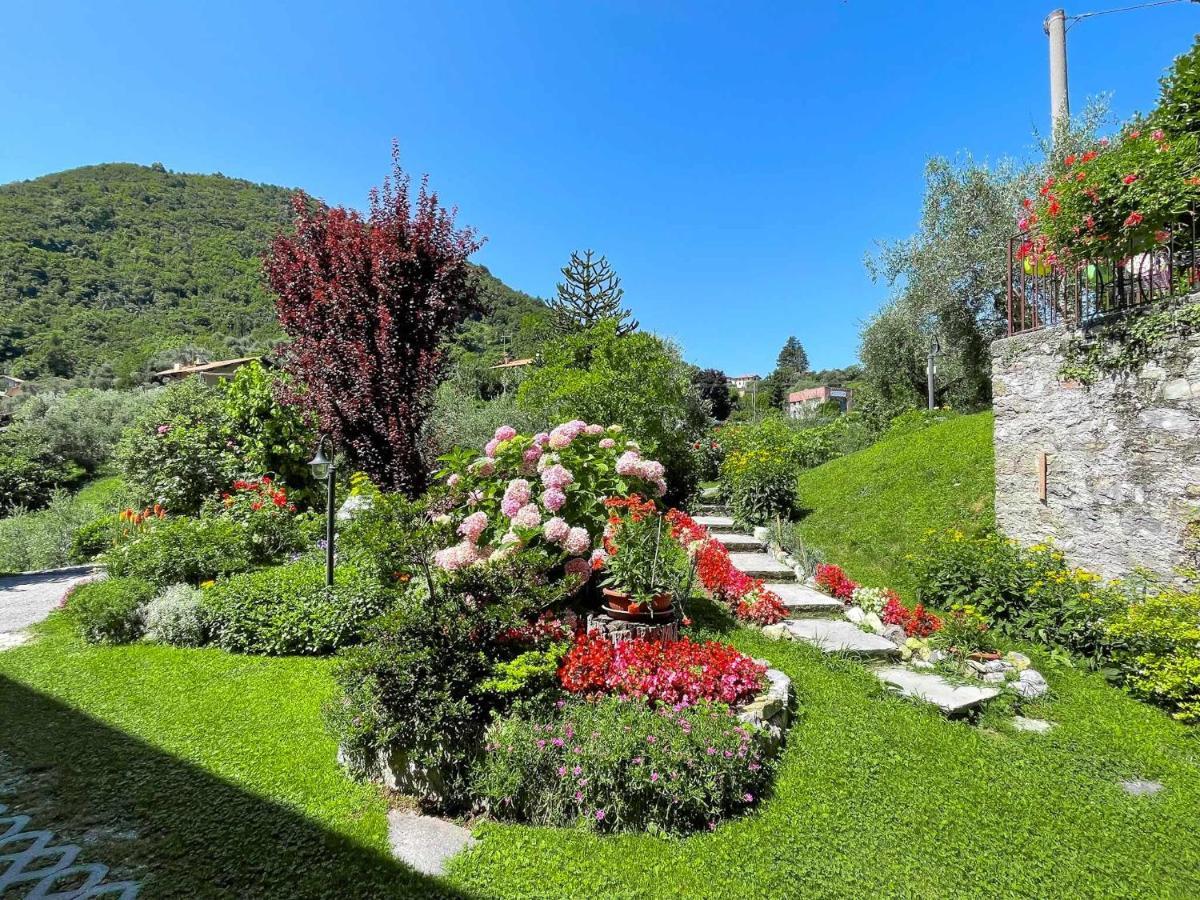 Breva Loft Tra Gli Ulivi Ed Il Lago Bellagio Kültér fotó